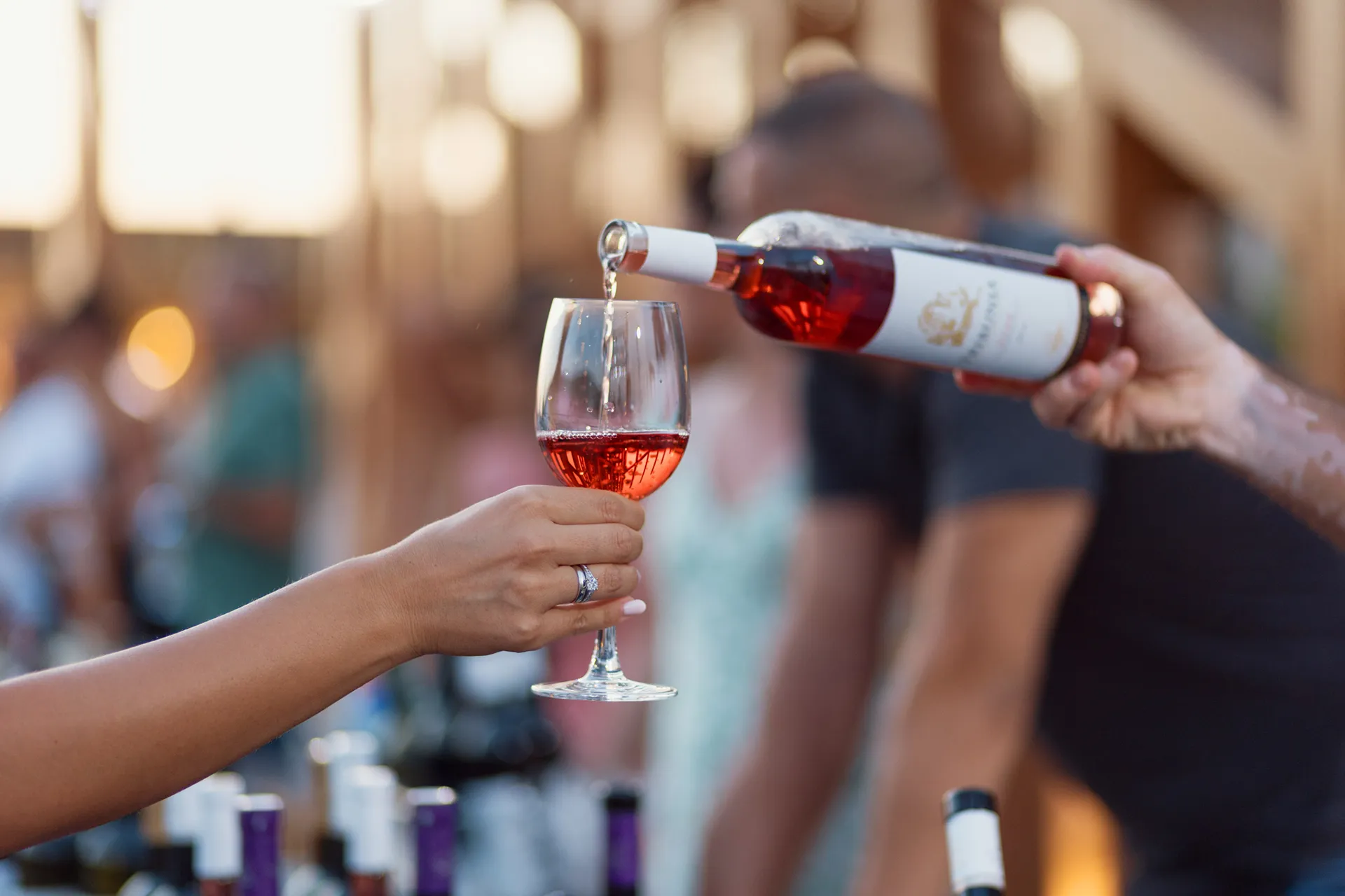 Незабываемая Винная ночь Portonovi